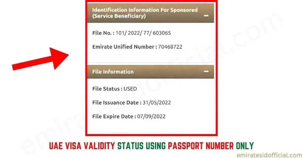 UAE Visa Validity Status Using Passport Number Only